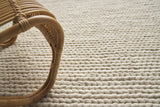 Exquisite Rugs Arlow Handwoven Polyester/Cotton 2313 Ivory 2' x 3' Area Rug