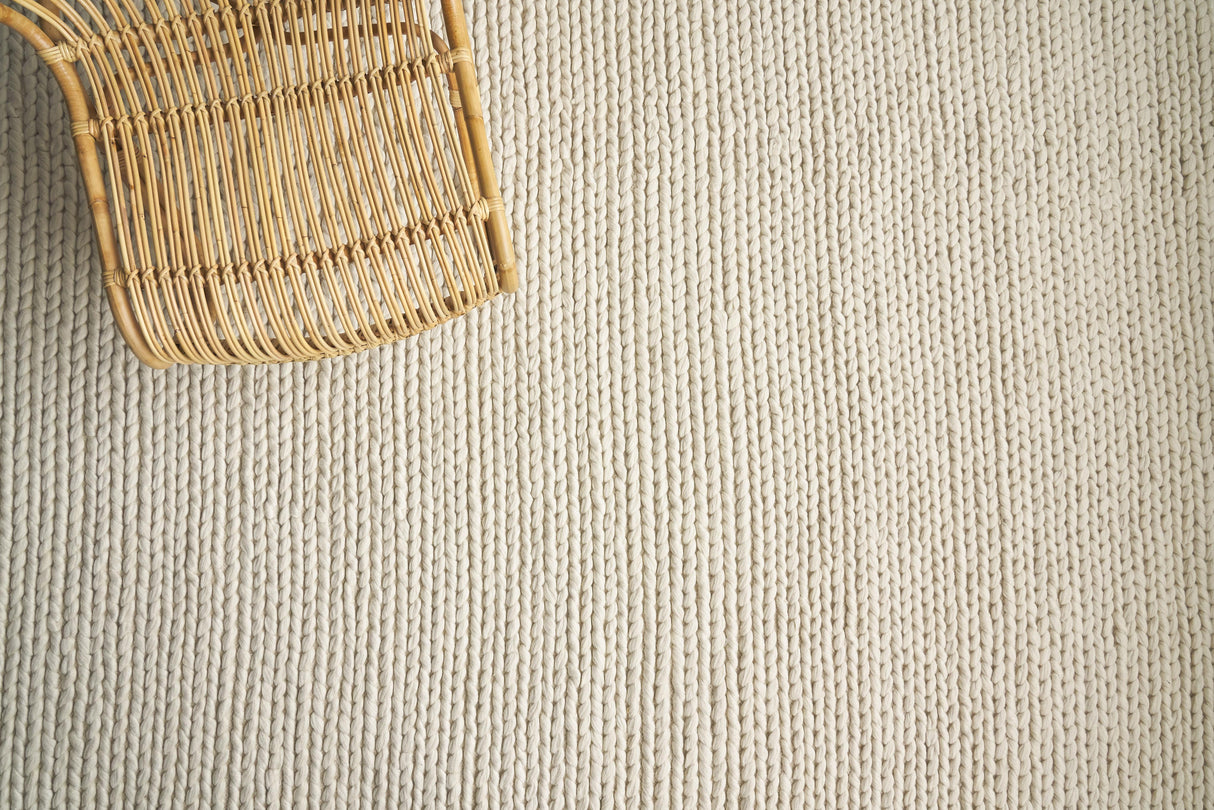Exquisite Rugs Arlow Handwoven Polyester/Cotton 2313 Ivory 2' x 3' Area Rug