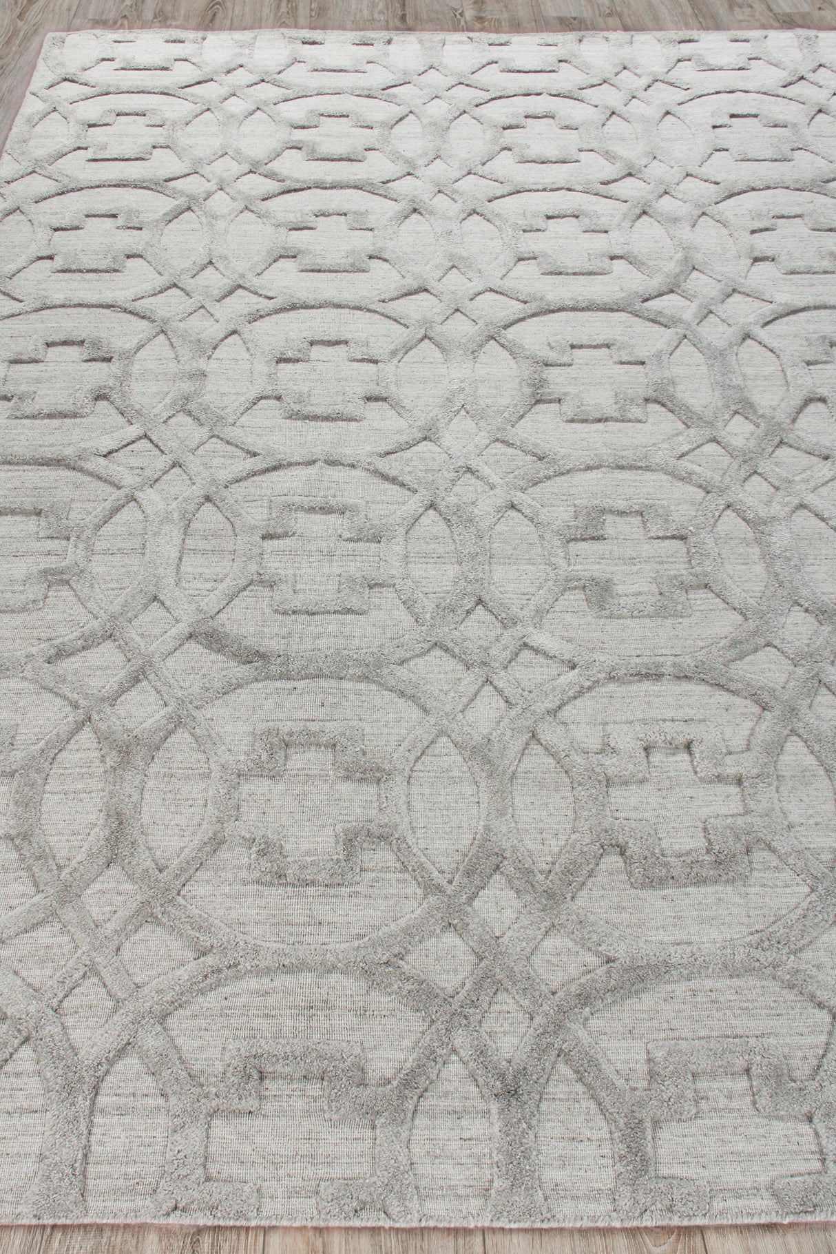 Exquisite Rugs Windsor Hand-loomed Wool/Bamboo Silk 2448 Light Silver 4' x 6' Area Rug