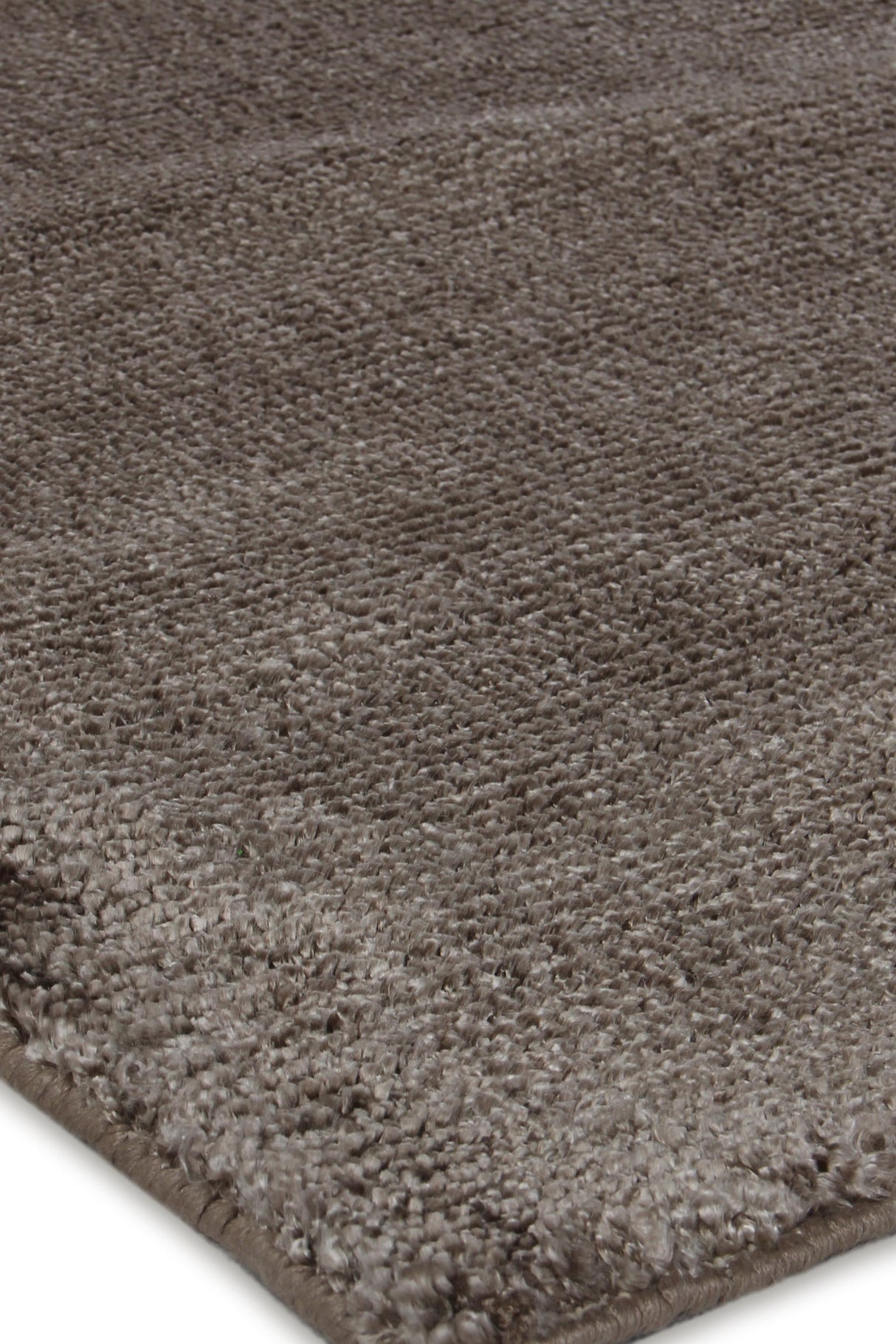 Exquisite Rugs Calla Hand Loomed Bamboo Silk in 2875 Khaki 6' x 9' Area Rug