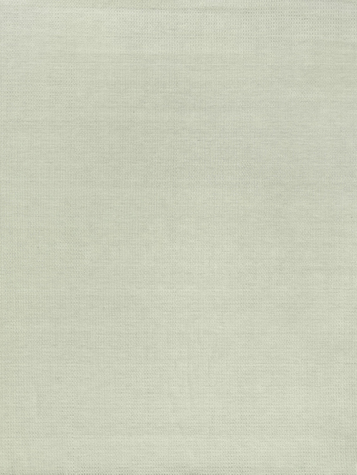 Exquisite Rugs New Zealand Wool Hand Loomed New Zealand Wool in 3158 Ivory 8' x 10' Area Rug