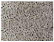 Exquisite Rugs Natural Hide Handmade Leather Hide in 3357 Dark Gray/Multi 8' x 11' Area Rug