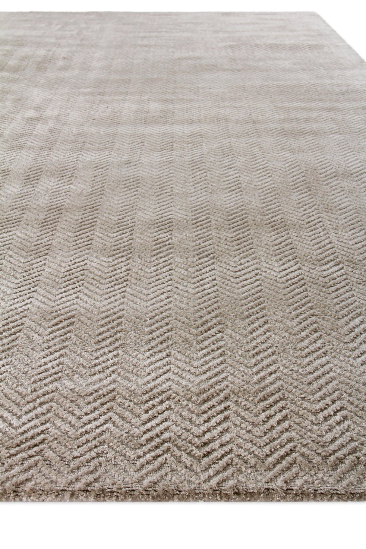 Exquisite Rugs Pavo Hand Loomed Tencel in 3465 Light Silver 8' x 10' Area Rug