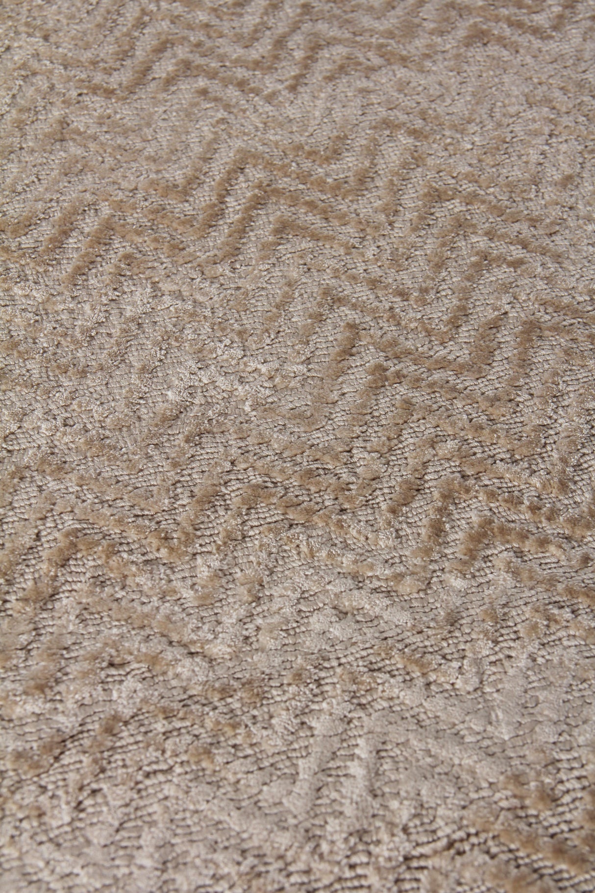 Exquisite Rugs Pavo Hand Loomed Tencel in 3469 Beige 12' x 15' Area Rug