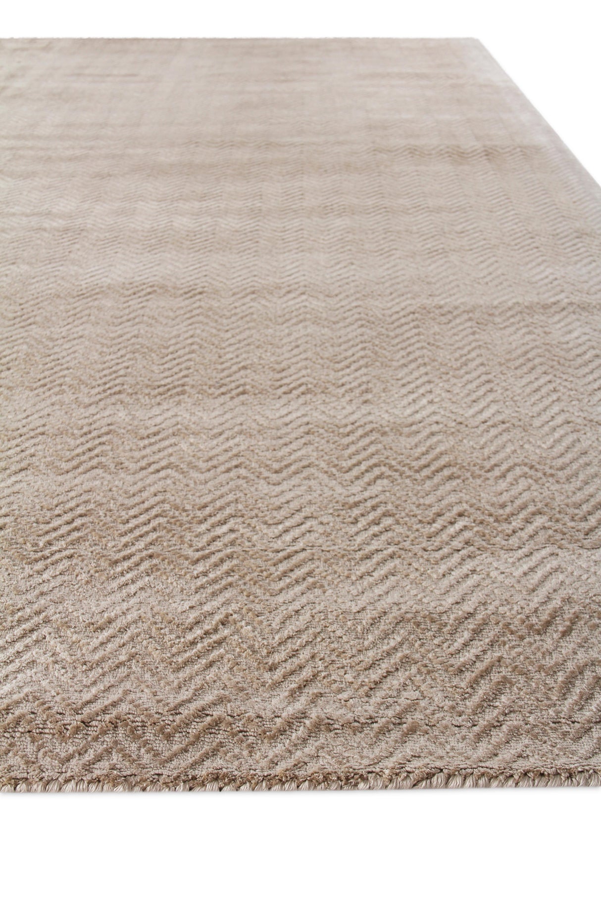 Exquisite Rugs Pavo Hand Loomed Tencel in 3469 Beige 6' x 9' Area Rug