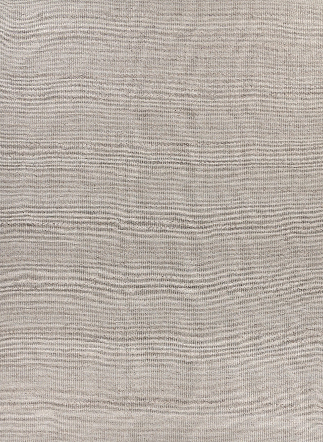 Exquisite Rugs Hesse Handwoven Polyester/Cotton 3859 Beige 2' x 3' Area Rug