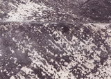 Exquisite Rugs Cassina Hand Loomed Bamboo Silk in 3931 Gray/Ivory 8' x 10' Area Rug