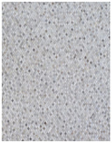 Exquisite Rugs Mosaic Leather Handmade Leather Hide in 4053 Light Silver/Multi 8' x 11' Area Rug