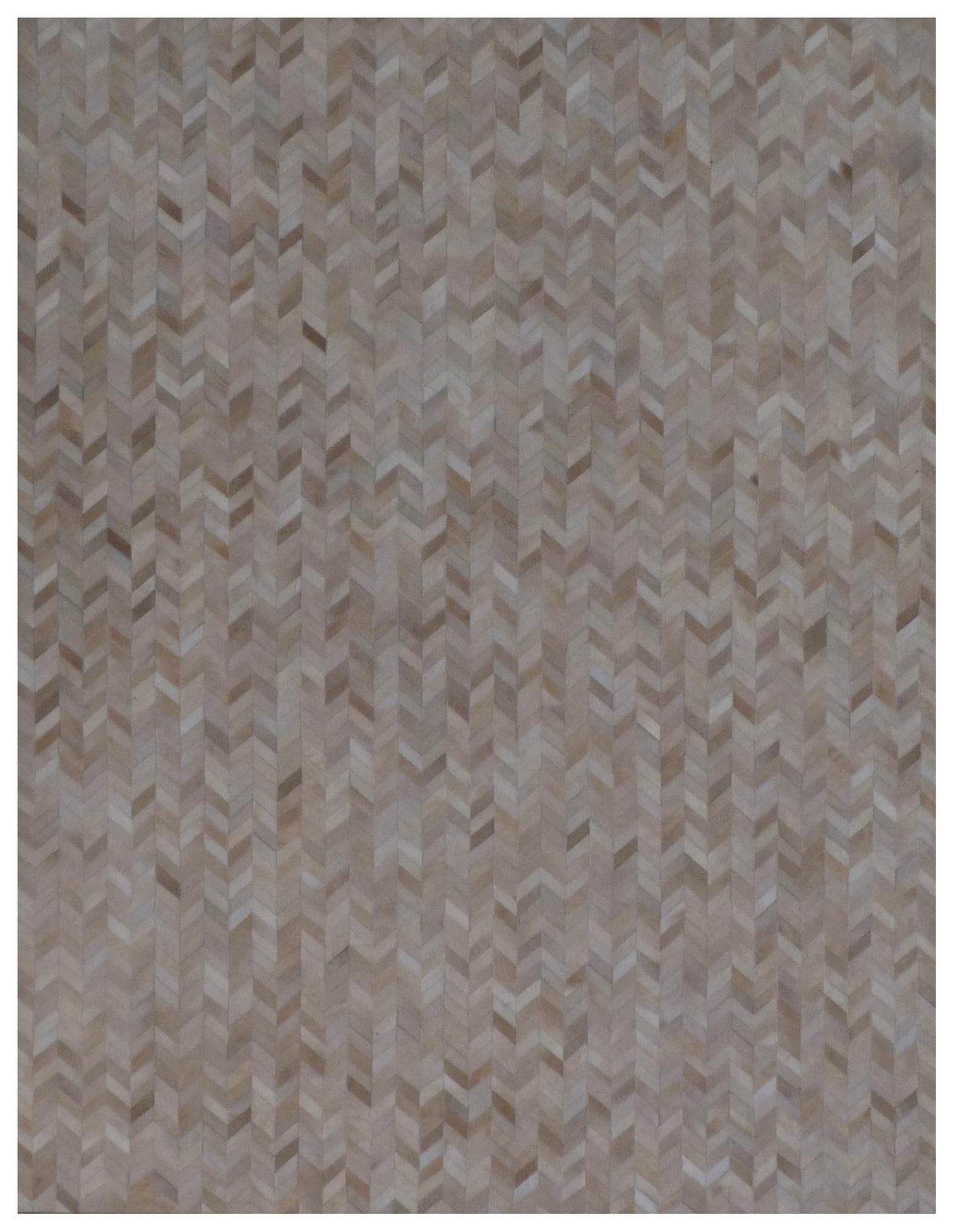 Exquisite Rugs Cecily Hand Knotted Wool/Bamboo Silk in 4063 Light Beige/Multi 8' x 10' Area Rug