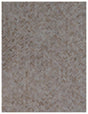 Exquisite Rugs Cecily Hand Knotted Wool/Bamboo Silk in 4063 Light Beige/Multi 8' x 10' Area Rug