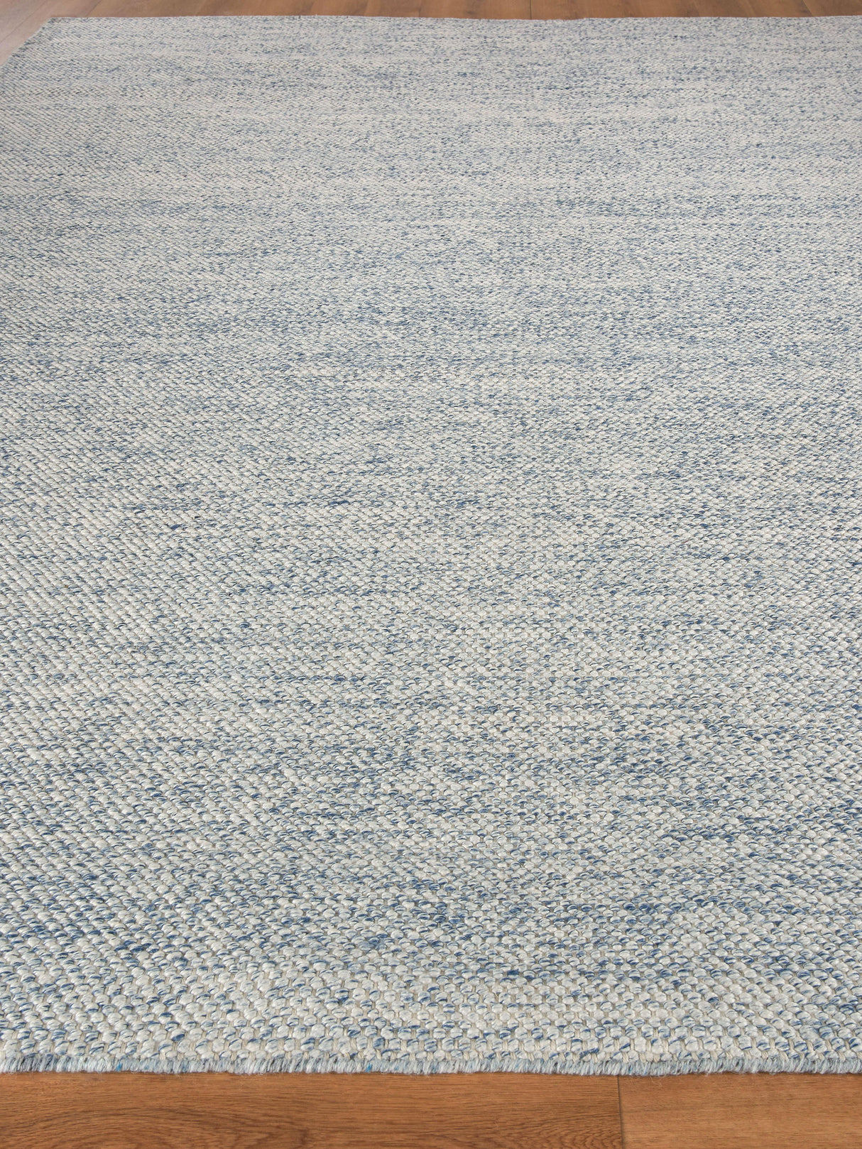 Exquisite Rugs Rhodes Hand-loomed PET yarn 4566 Blue 2' x 3' Area Rug