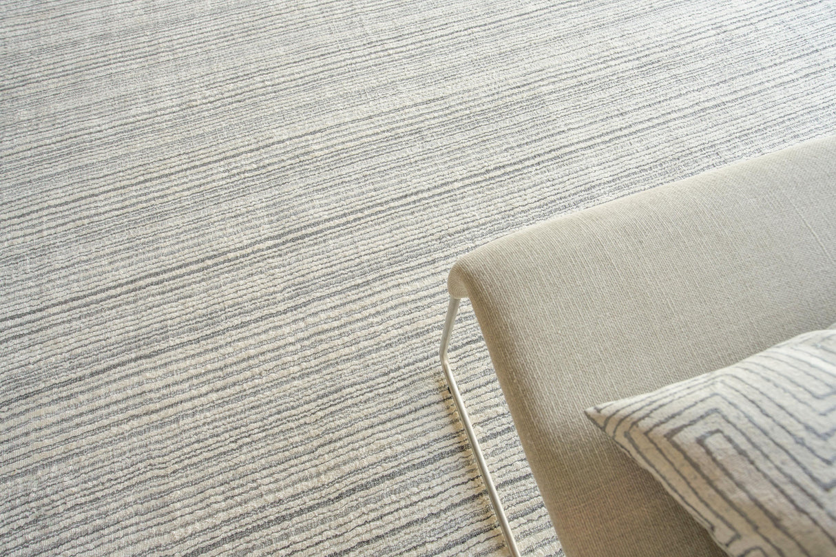 Exquisite Rugs Rossini Hand-loomed Nylon/PET yarn Yarn 4695 Ivory/Gray 2' x 3' Area Rug