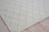 Exquisite Rugs Brentwood Handwoven Wool/Viscose 4704 Ivory 2' x 3' Area Rug