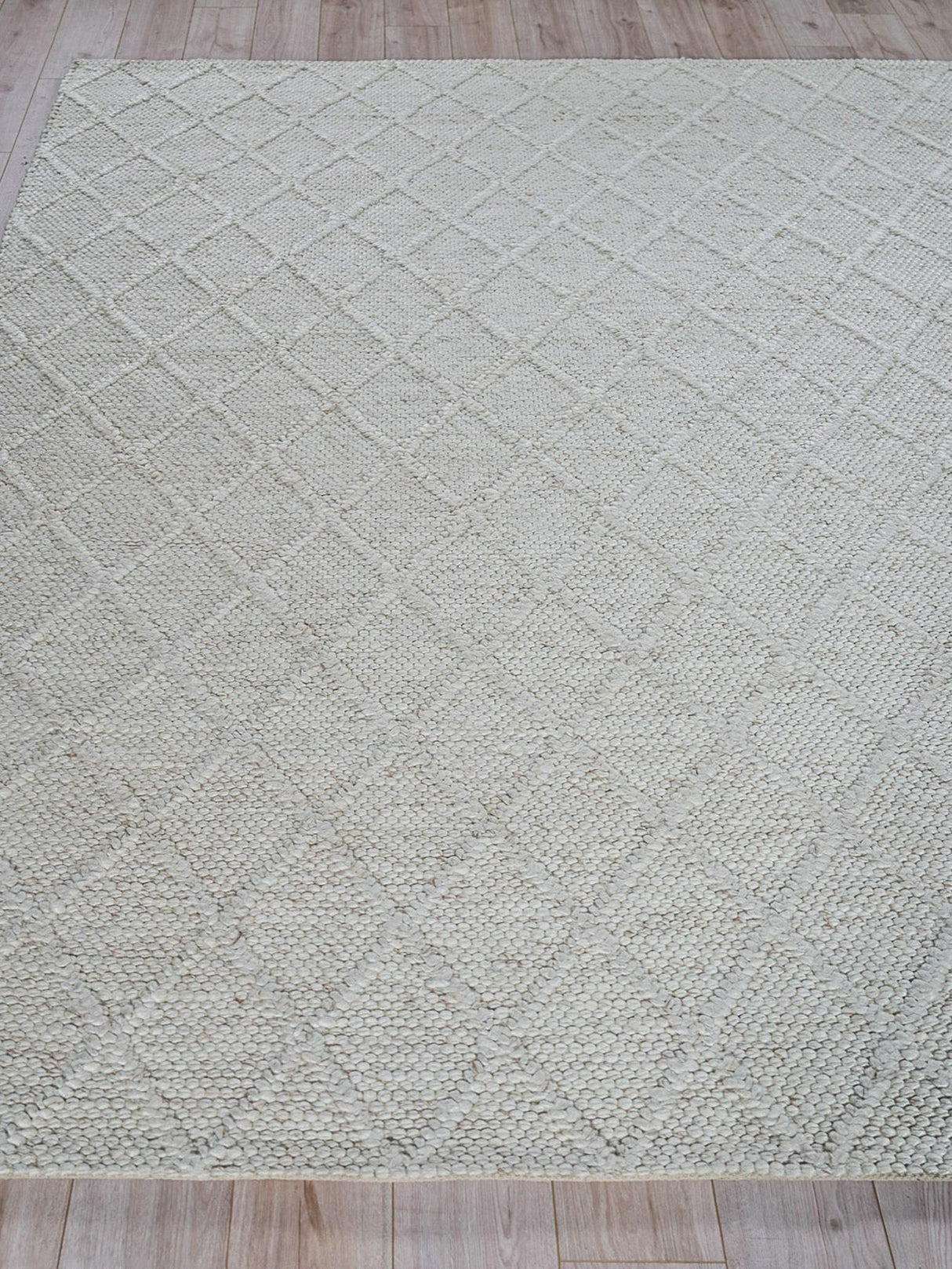 Exquisite Rugs Brentwood Handwoven Wool/Viscose 4704 Ivory 2' x 3' Area Rug
