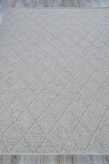 Exquisite Rugs Brentwood Handwoven Wool/Viscose 4715 Silver 2' x 3' Area Rug