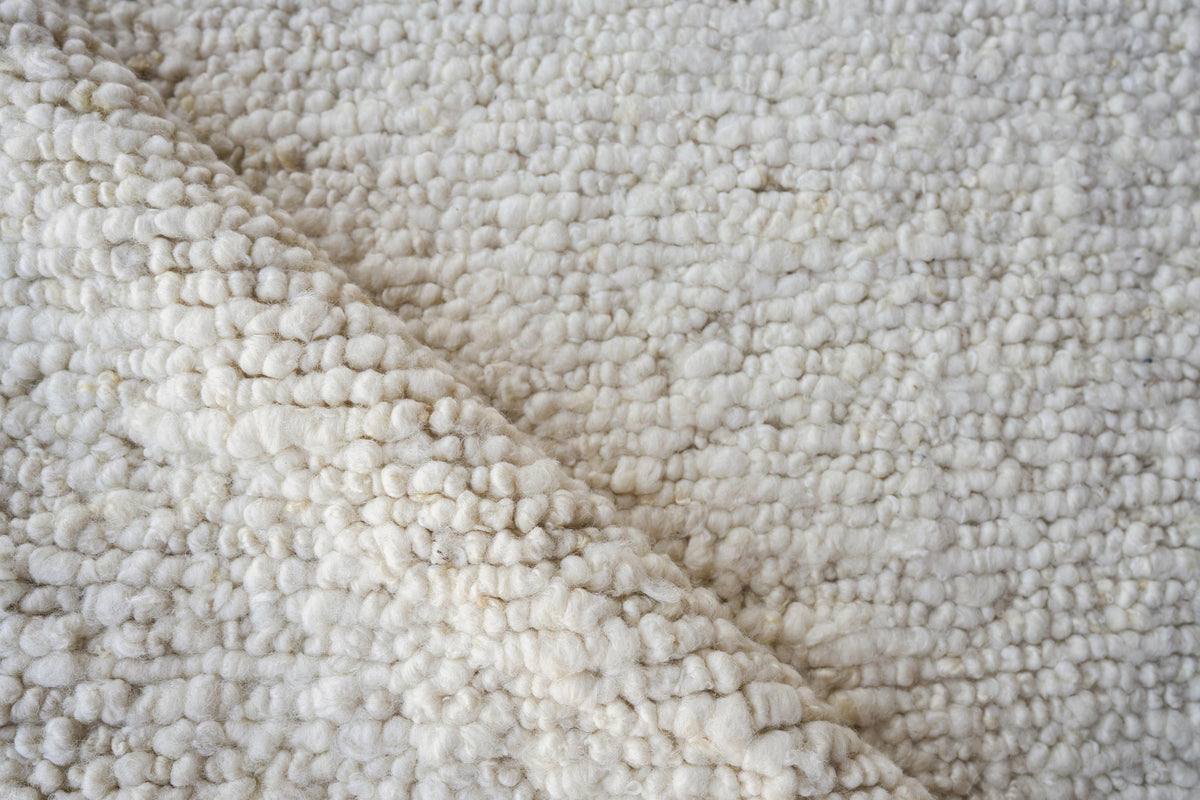 Exquisite Rugs Borelli Hand-loomed New Zealand Wool 4750 Ivory 3' x 2' Area Rug