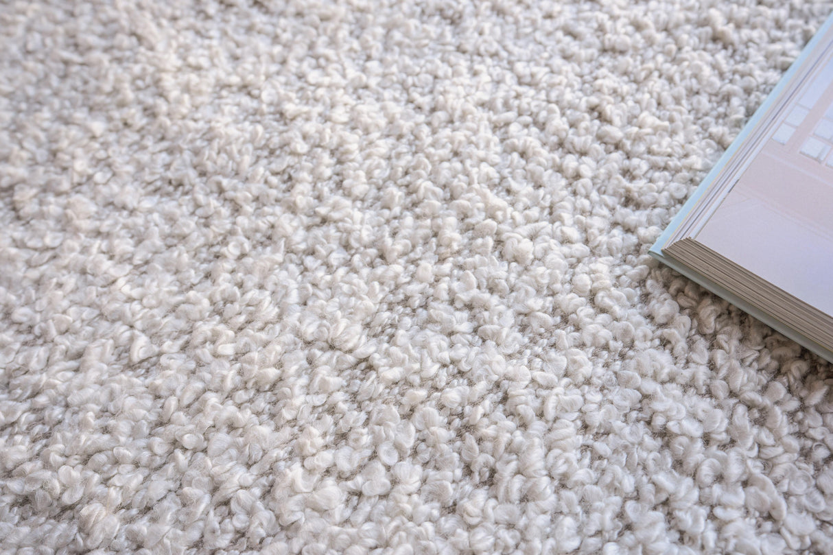 Exquisite Rugs Morello Indoor/Outdoor Reversible Hand-loomed PET yarn 4778 Ivory/4778 Ivory 2' x 3' Area Rug