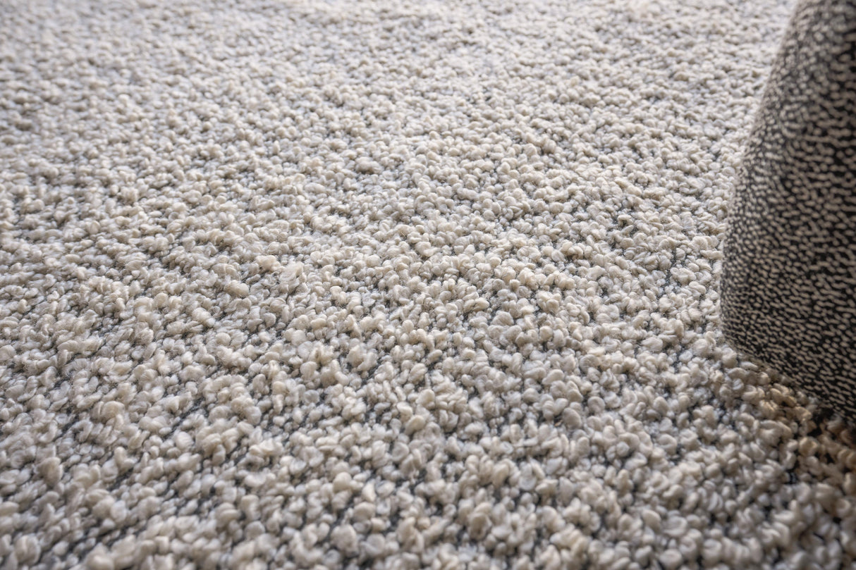 Exquisite Rugs Morello Indoor/Outdoor Reversible Hand-loomed PET yarn 4779 Ivory/Dark Gray 4' x 5' Area Rug