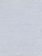 Exquisite Rugs Kashmir Indoor/Outdoor Flatweave PET yarn 4850 Light Blue 2' x 3' Area Rug