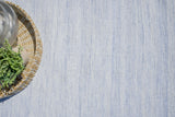 Exquisite Rugs Kashmir Indoor/Outdoor Flatweave PET yarn 4850 Light Blue 2' x 3' Area Rug
