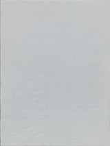 Exquisite Rugs Kashmir Indoor/Outdoor Flatweave PET yarn 4851 Ivory 2' x 3' Area Rug