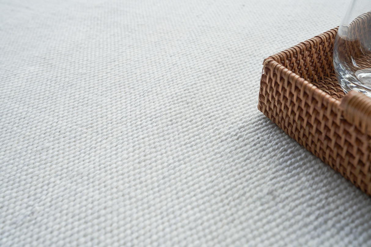 Exquisite Rugs Kashmir Indoor/Outdoor Flatweave PET yarn 4851 Ivory 2' x 3' Area Rug