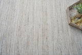 Exquisite Rugs Kashmir Indoor/Outdoor Flatweave PET yarn 4854 Light Beige 2' x 3' Area Rug