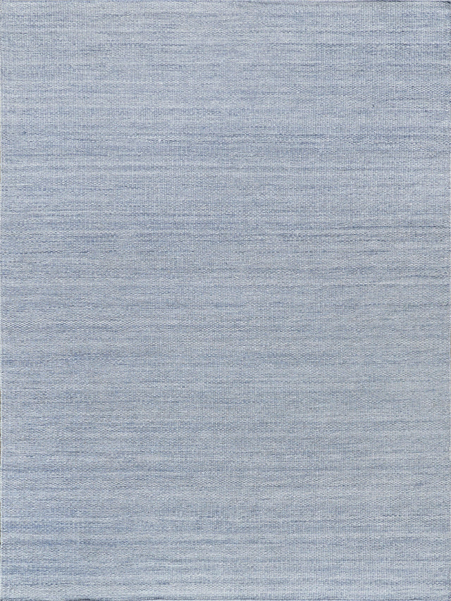 Exquisite Rugs Loro Indoor/Outdoor Flatweave PET yarn 4856 Light Blue 2' x 3' Area Rug