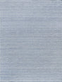 Exquisite Rugs Loro Indoor/Outdoor Flatweave PET yarn 4856 Light Blue 2' x 3' Area Rug