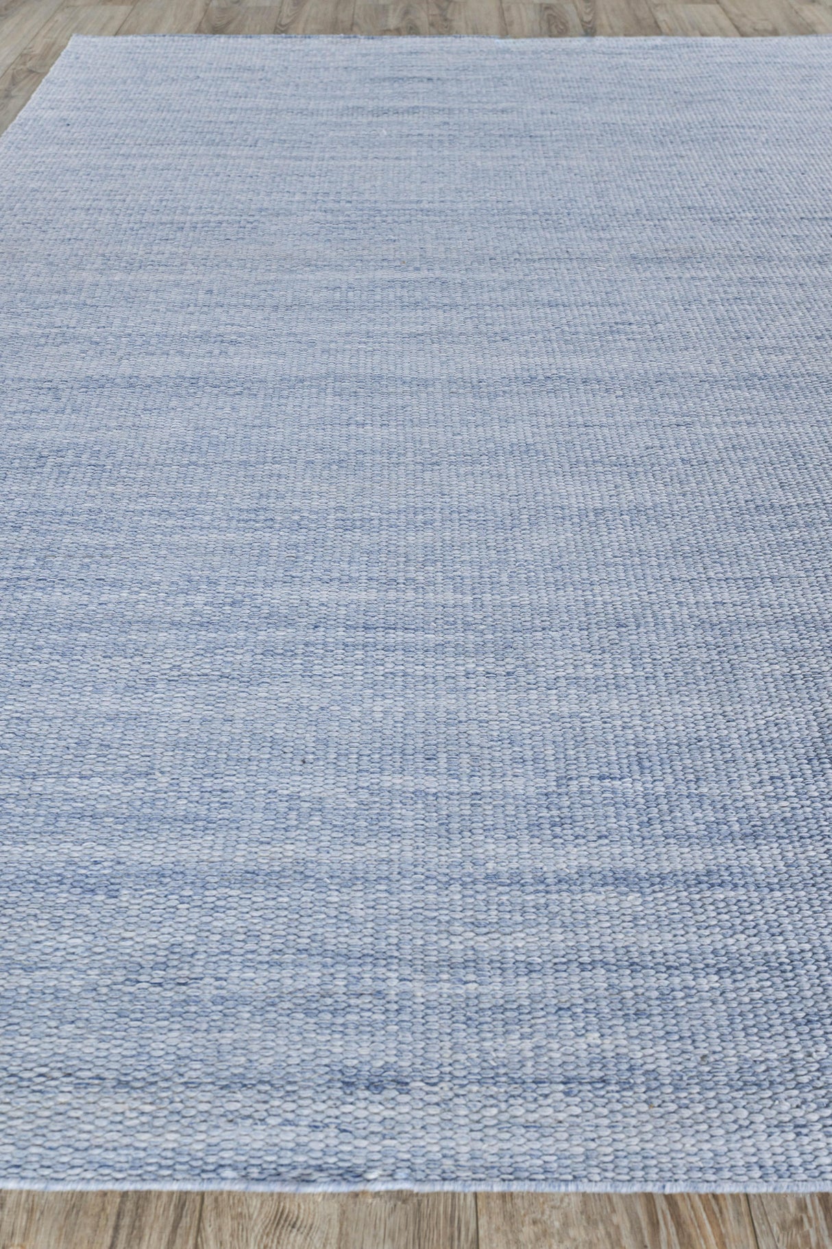 Exquisite Rugs Loro Indoor/Outdoor Flatweave PET yarn 4856 Light Blue 2' x 3' Area Rug