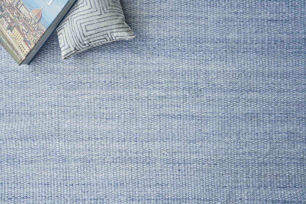 Exquisite Rugs Loro Indoor/Outdoor Flatweave PET yarn 4856 Light Blue 2' x 3' Area Rug