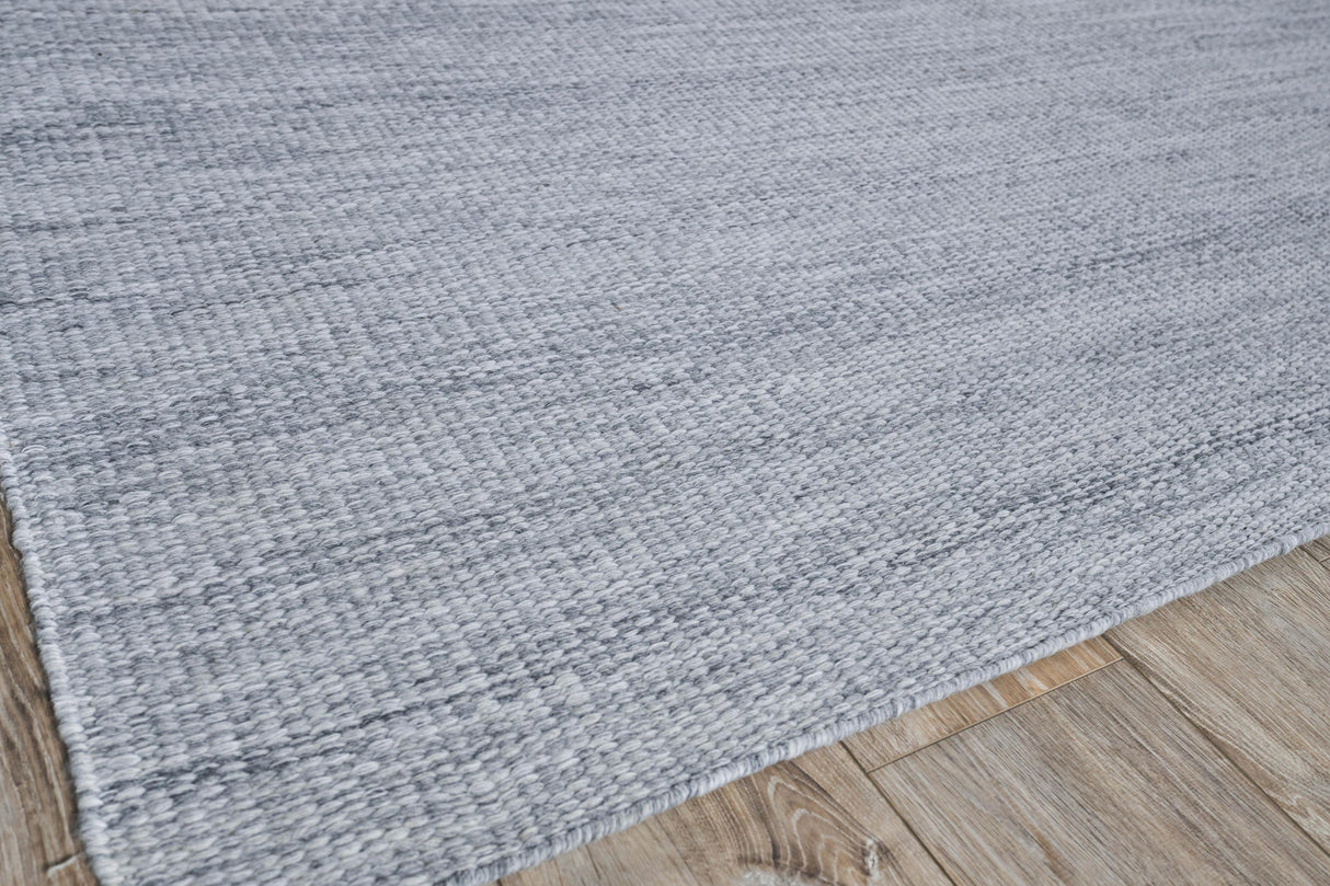 Exquisite Rugs Loro Indoor/Outdoor Flatweave PET yarn 4857 Light Silver 2' x 3' Area Rug