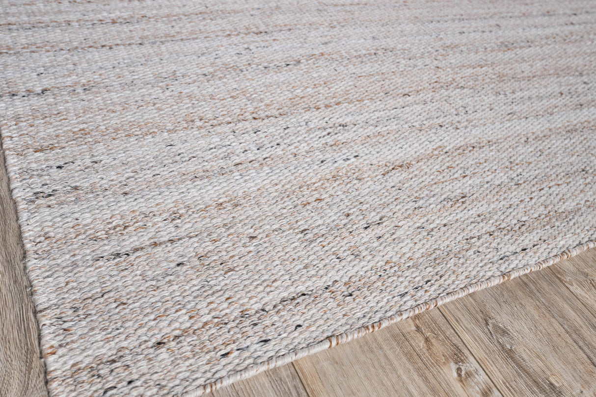 Exquisite Rugs Loro Indoor/Outdoor Flatweave PET yarn 4858 Light Beige 2' x 3' Area Rug