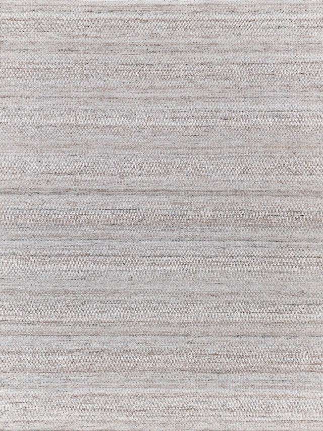 Exquisite Rugs Loro Indoor/Outdoor Flatweave PET yarn 4858 Light Beige 2' x 3' Area Rug