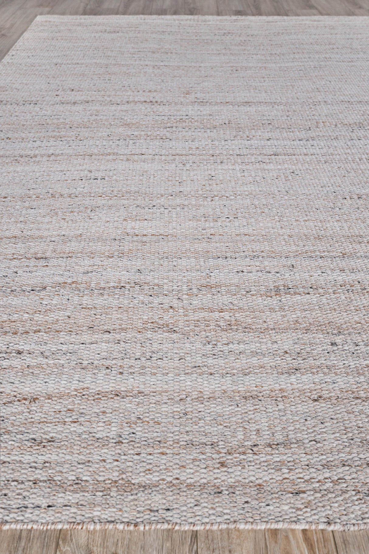 Exquisite Rugs Loro Indoor/Outdoor Flatweave PET yarn 4858 Light Beige 2' x 3' Area Rug