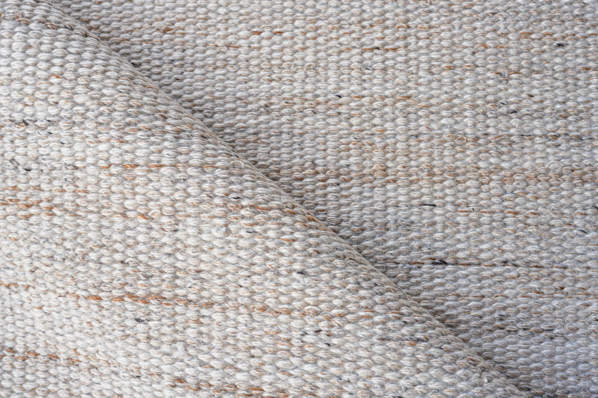Exquisite Rugs Loro Indoor/Outdoor Flatweave PET yarn 4858 Light Beige 2' x 3' Area Rug