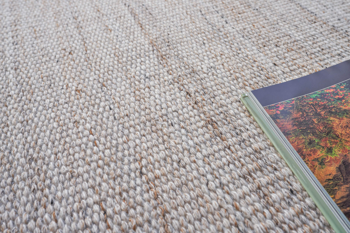 Exquisite Rugs Loro Indoor/Outdoor Flatweave PET yarn 4858 Light Beige 2' x 3' Area Rug