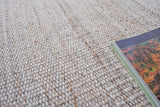 Exquisite Rugs Loro Indoor/Outdoor Flatweave PET yarn 4858 Light Beige 2' x 3' Area Rug