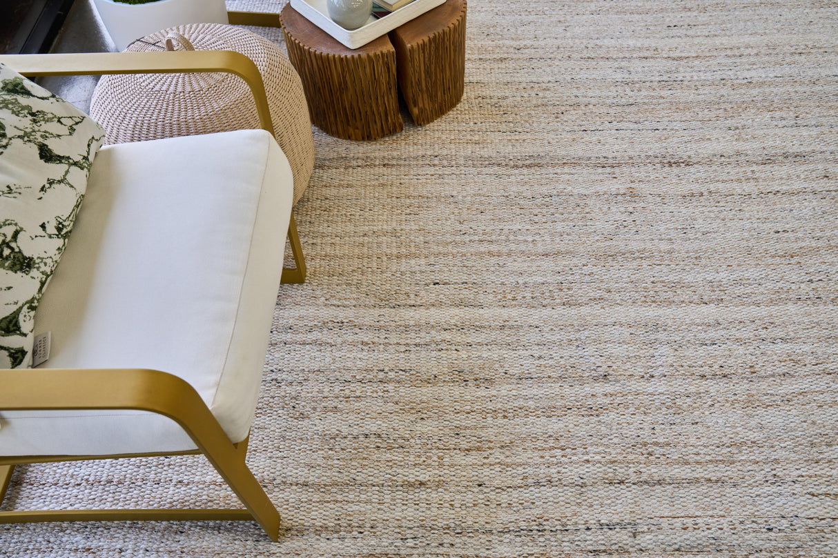 Exquisite Rugs Loro Indoor/Outdoor Flatweave PET yarn 4858 Light Beige 2' x 3' Area Rug