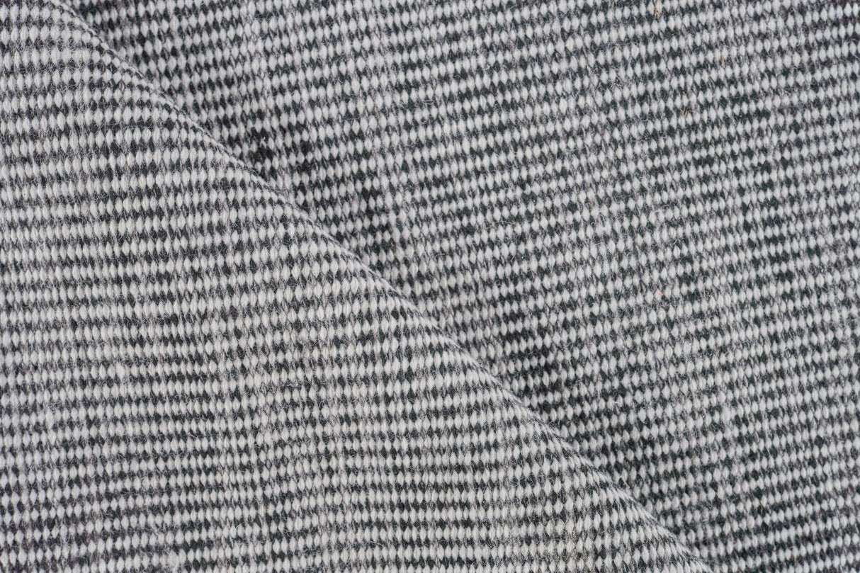 Exquisite Rugs Lenzi Indoor/Outdoor Flatweave PET yarn 4862 Black/Ivory 2' x 3' Area Rug