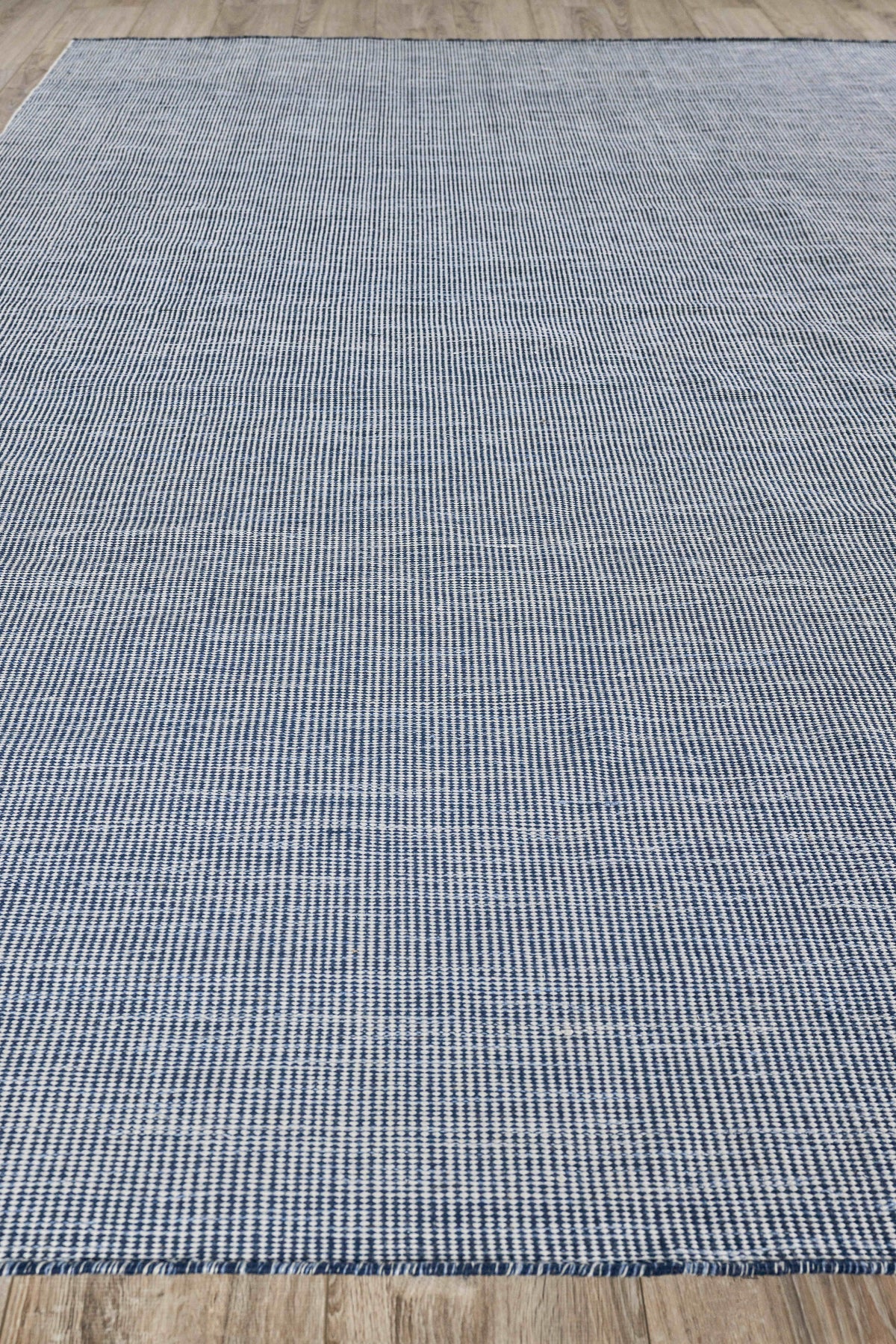 Exquisite Rugs Lenzi Indoor/Outdoor Flatweave PET yarn 4864 Blue 2' x 3' Area Rug