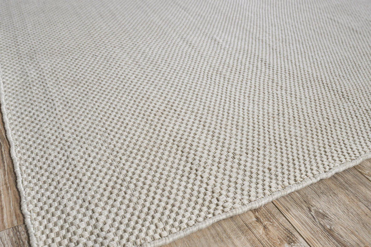 Exquisite Rugs Bali Indoor/Outdoor Flatweave PET yarn 4870 Ivory 2' x 3' Area Rug
