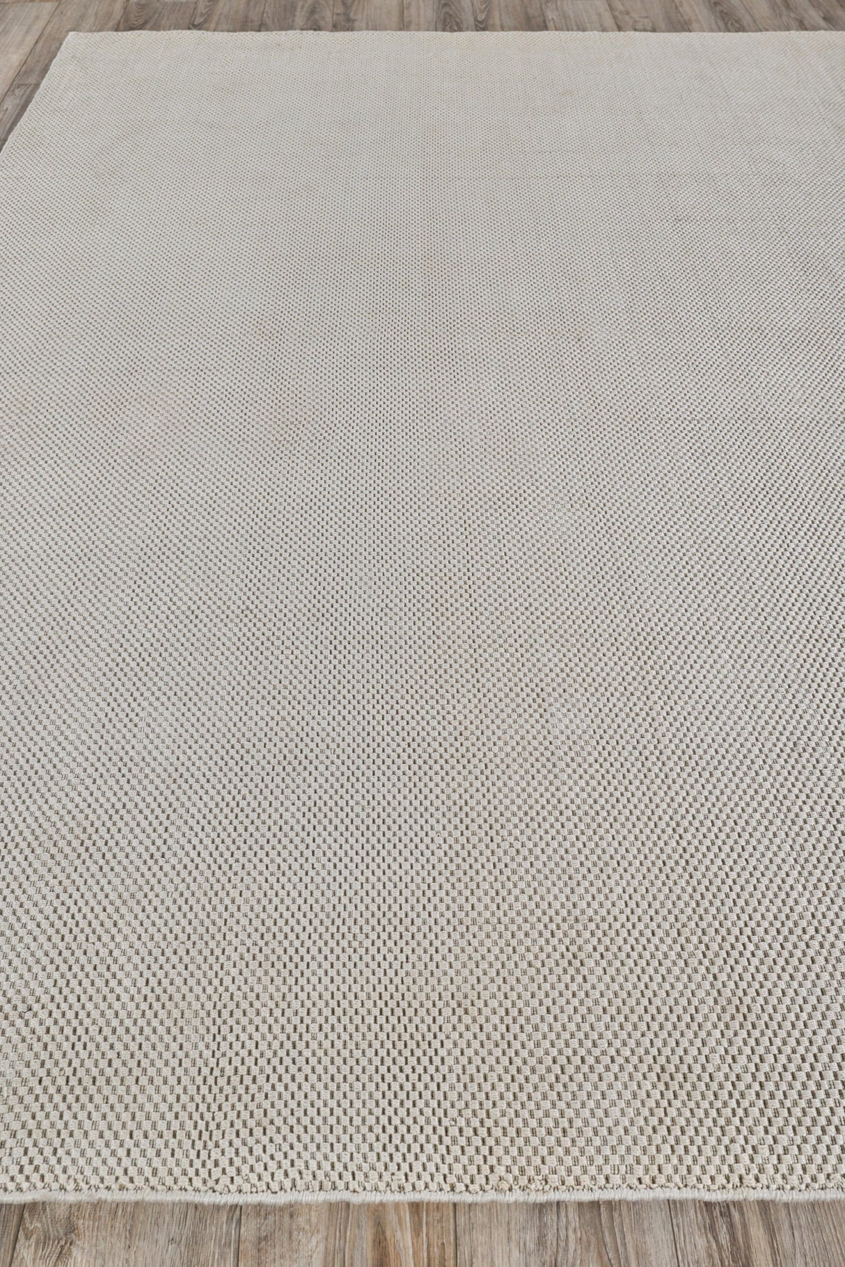 Exquisite Rugs Bali Indoor/Outdoor Flatweave PET yarn 4870 Ivory 2' x 3' Area Rug
