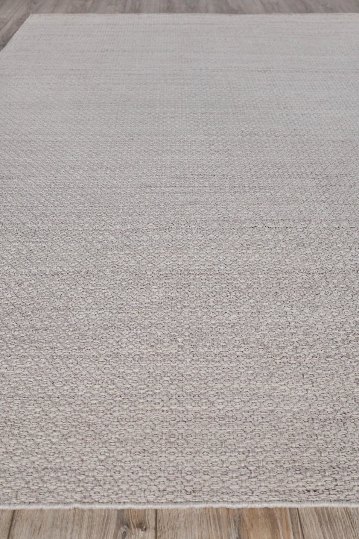 Exquisite Rugs Gamma Indoor/Outdoor Flatweave PET yarn 4886 Beige 2' x 3' Area Rug