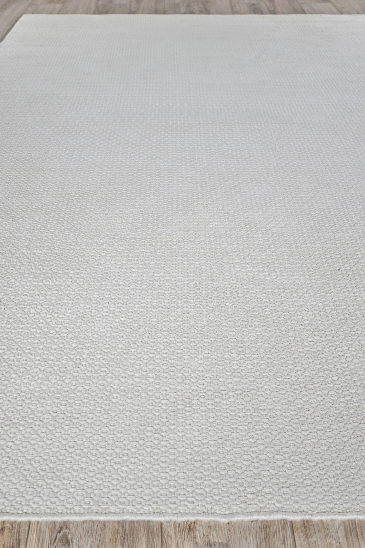 Exquisite Rugs Gamma Indoor/Outdoor Flatweave PET yarn 4887 Ivory 2' x 3' Area Rug