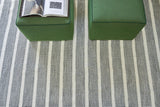 Exquisite Rugs Boca Indoor/Outdoor Flatweave PET yarn 4889 Ivory/Black 2' x 3' Area Rug