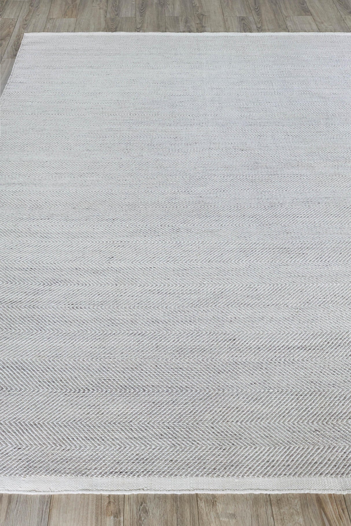 Exquisite Rugs Bintan Indoor/Outdoor Flatweave PET yarn 4896 Ivory/Silver 2' x 3' Area Rug
