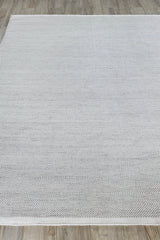 Exquisite Rugs Bintan Indoor/Outdoor Flatweave PET yarn 4896 Ivory/Silver 2' x 3' Area Rug