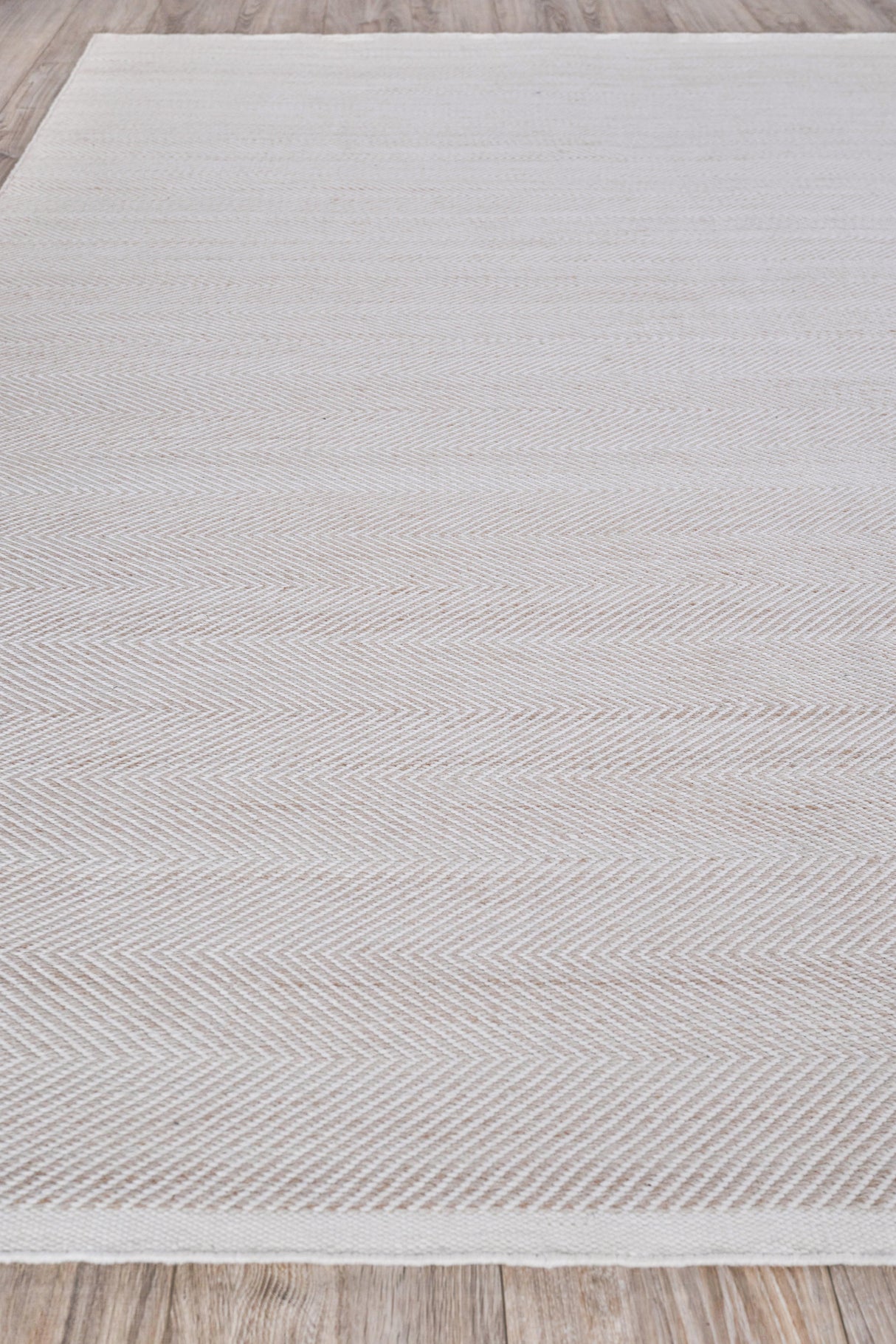 Exquisite Rugs Bintan Indoor/Outdoor Flatweave PET yarn 4897 Ivory/Beige 6' x 9' Area Rug