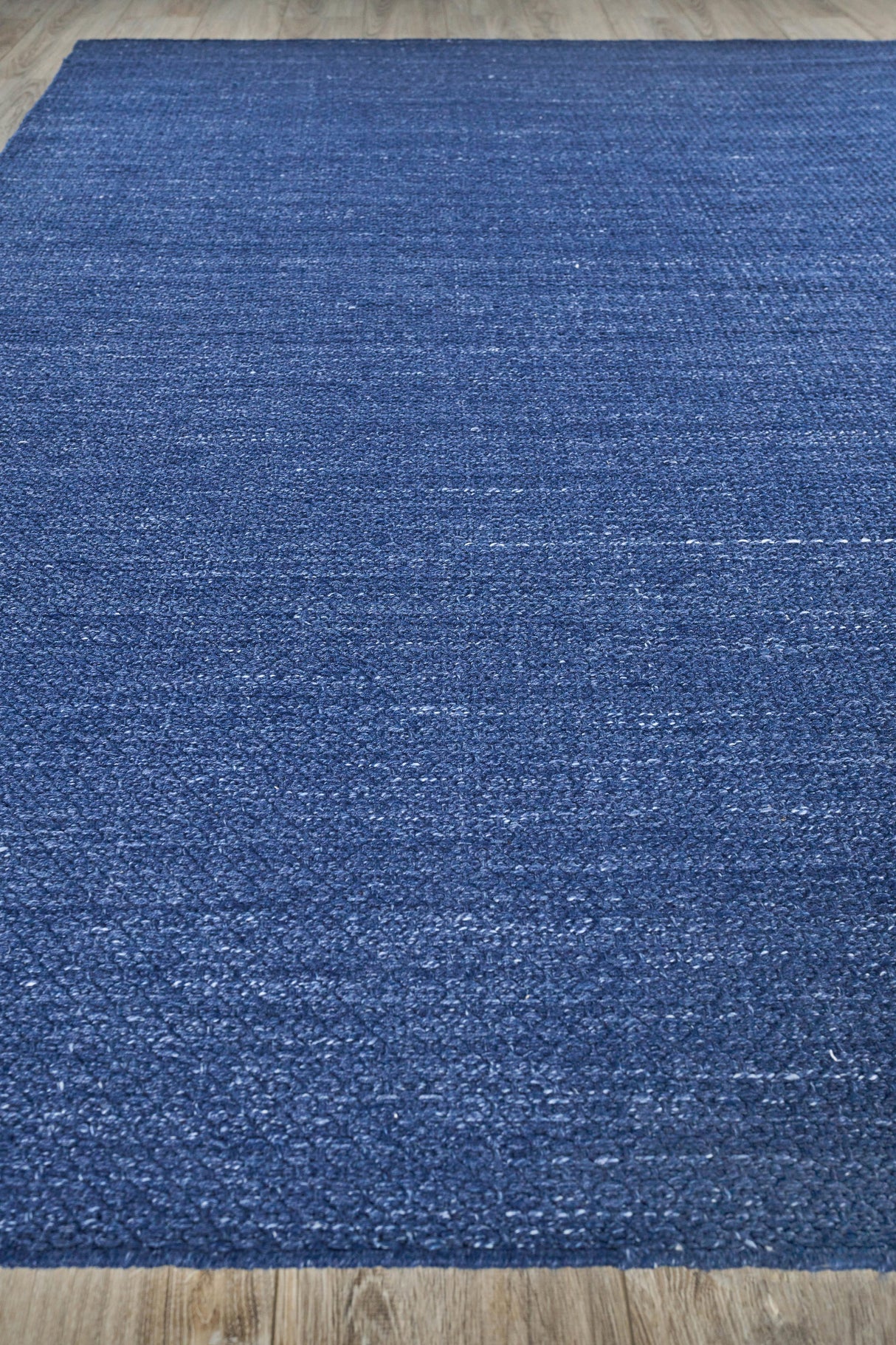 Exquisite Rugs Gamma Indoor/Outdoor Flatweave PET yarn 4899 Blue 3' x 2' Area Rug